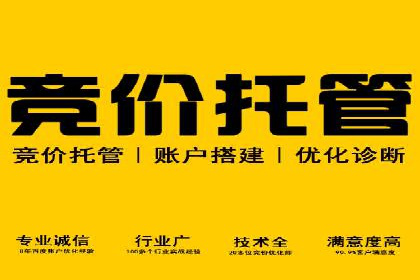 SEM竞价专员成功案例：从失败中学习